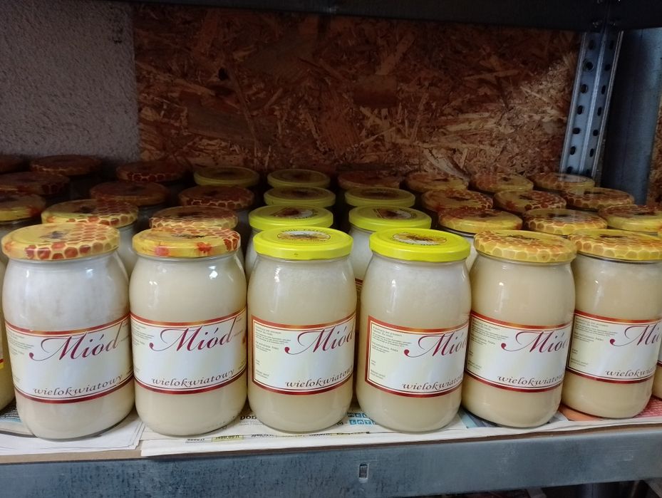 Miód z własnej pasieki 40zł