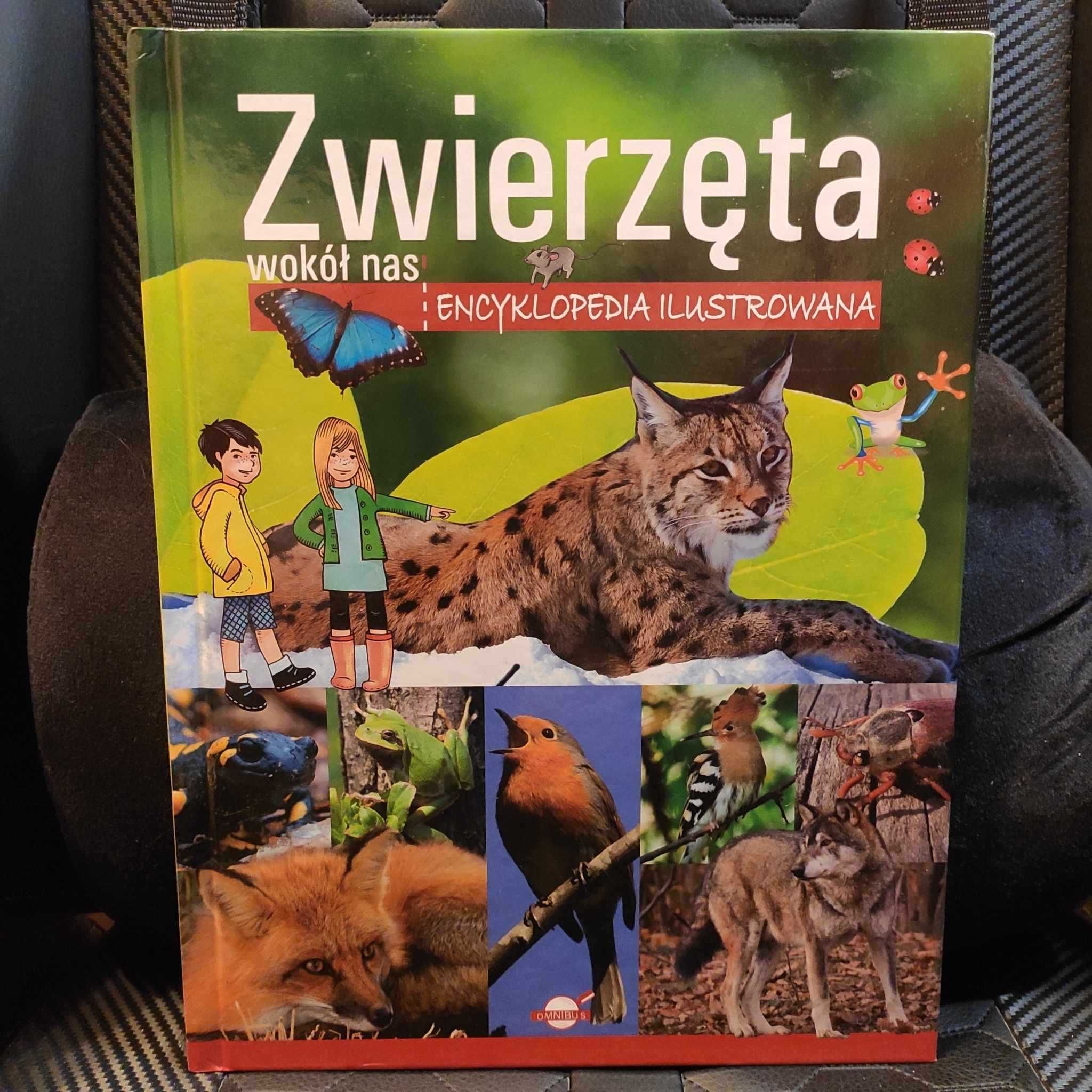 Zwierzęta wokół nas: Encyklopedia ilustrowana wydawnictwo Omnibus nowa