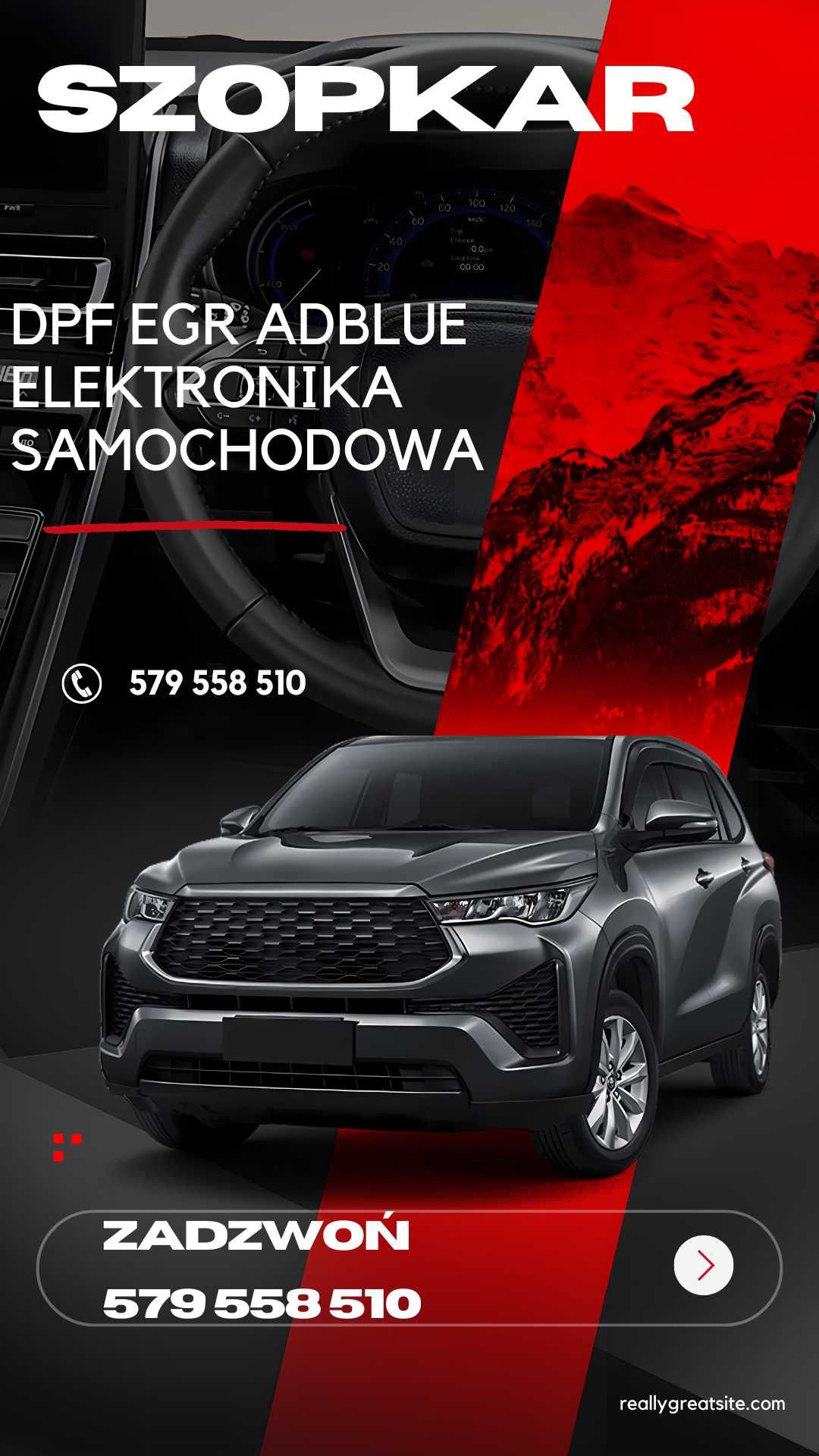 Serwis Naprawa SCR AdBlue UREA NOX DPF FAP EGR DTC Lambda Chip Tuning