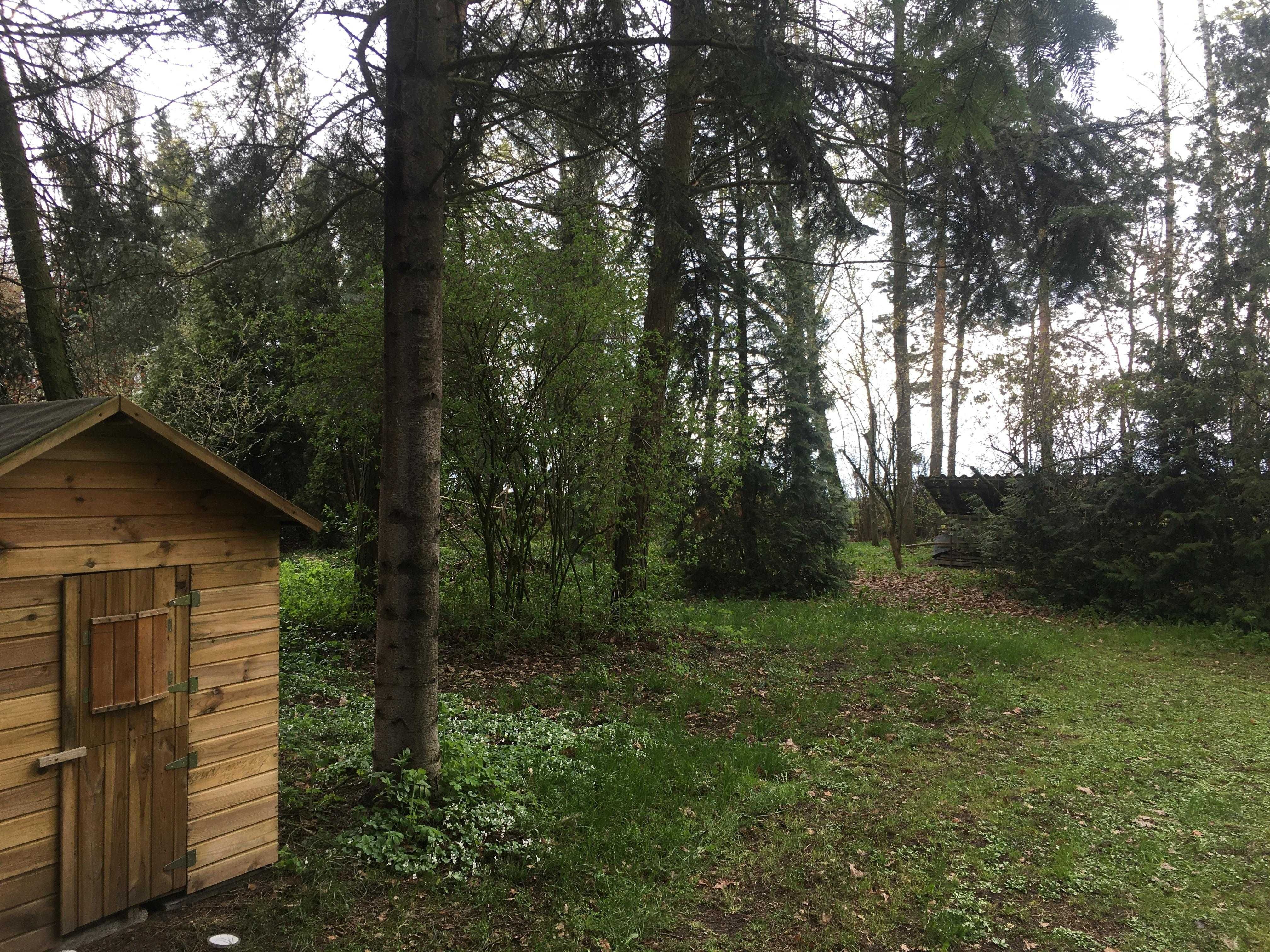 Bajkowe siedlisko niedaleko Czyżewa