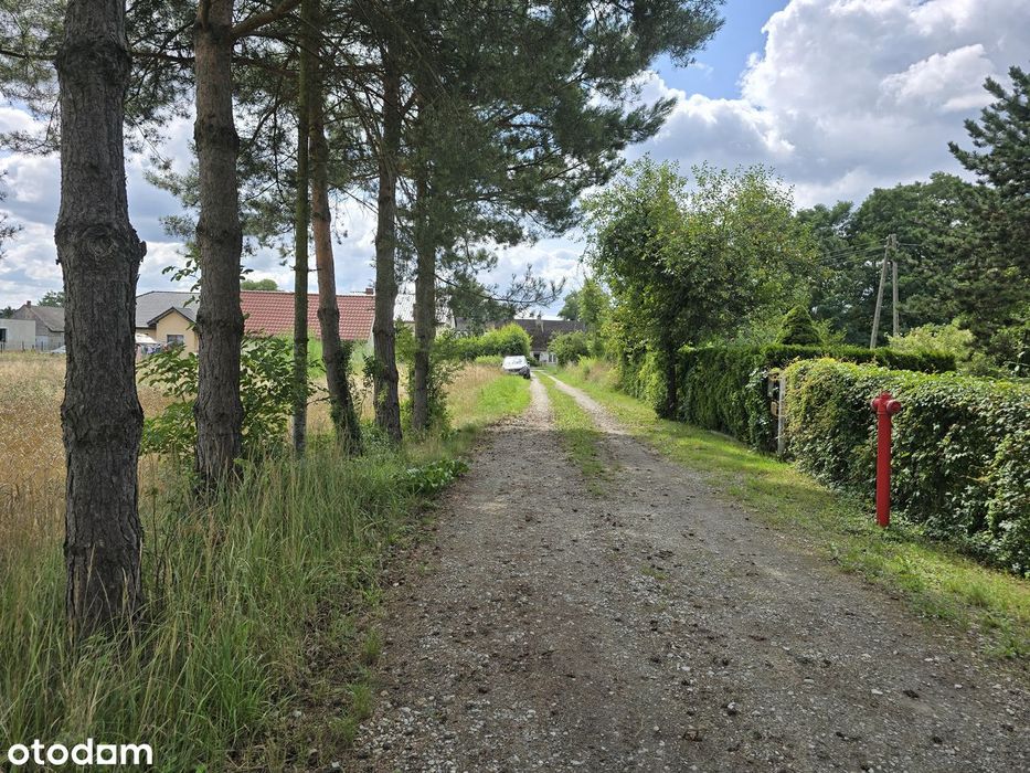 Bukowice, gm. Krośnice, działka budowlana, wszystkie media dostępne