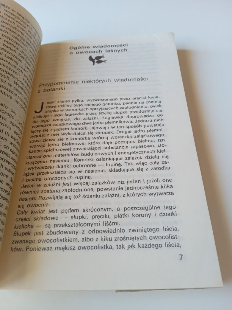Jadalne owoce leśne - Wiesław Grochowski