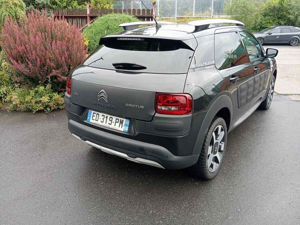 Citroen C4 Cactus Rip Curl 16rok Panorama Kamera Klimatyzacja Serwis!!