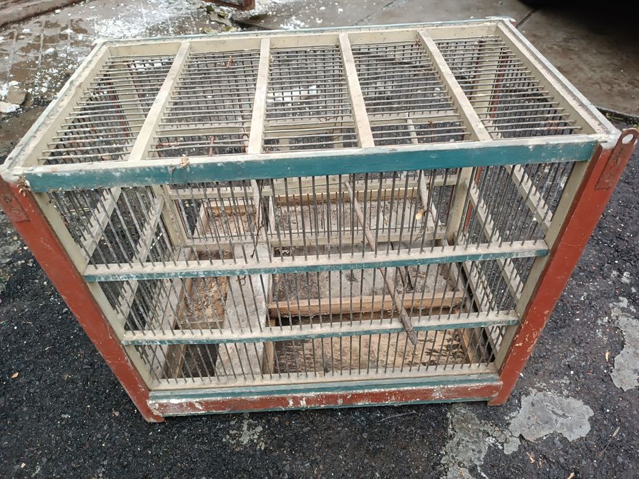Клітка для папуг