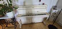 Pianino Calisia Chippendale M-105