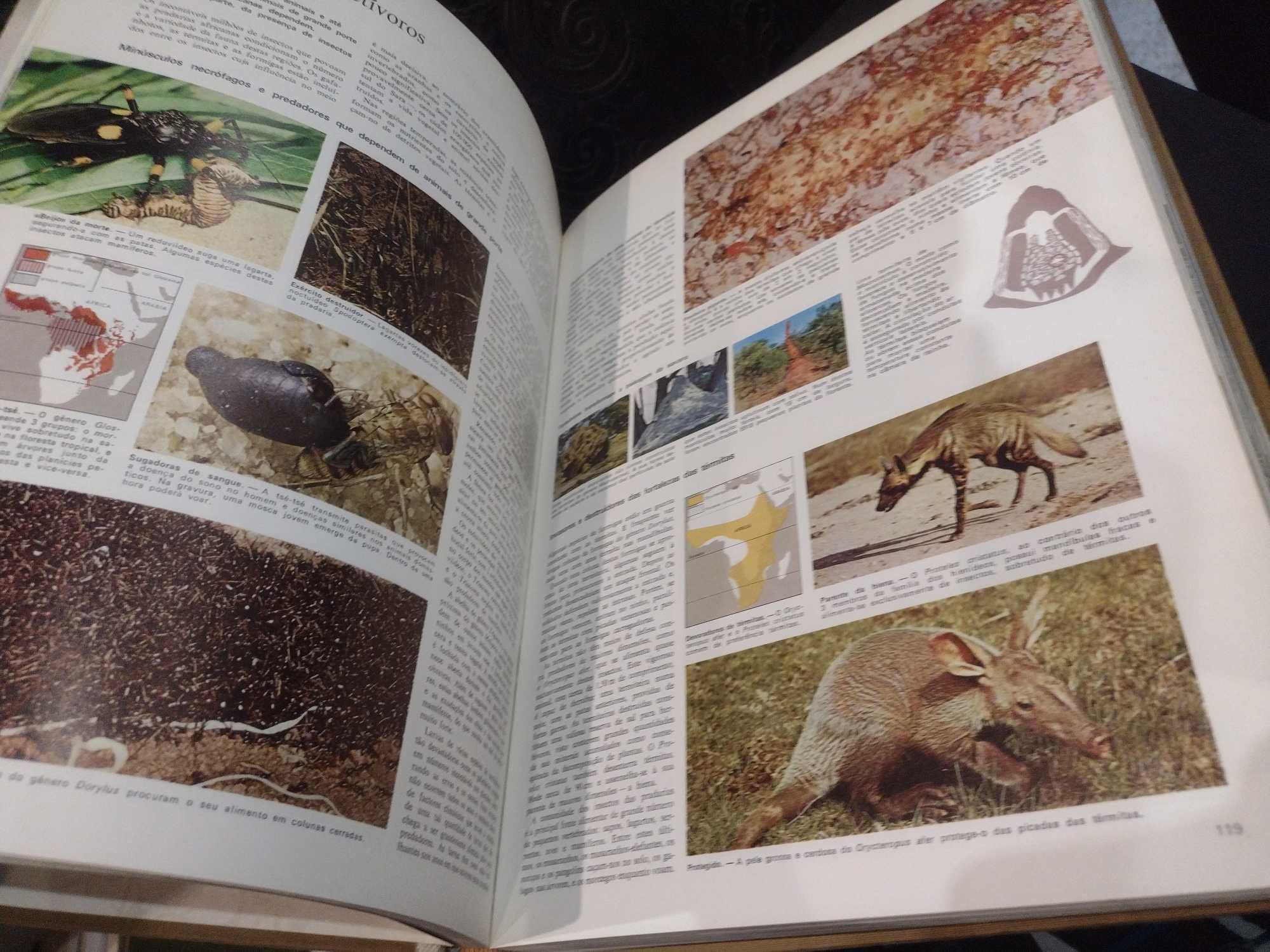 Livro Animais da Terra