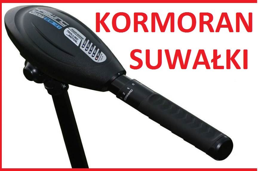 Silnik Elektryczny do łodzi Haswing Osapian 40lbs 12V zaburtowy