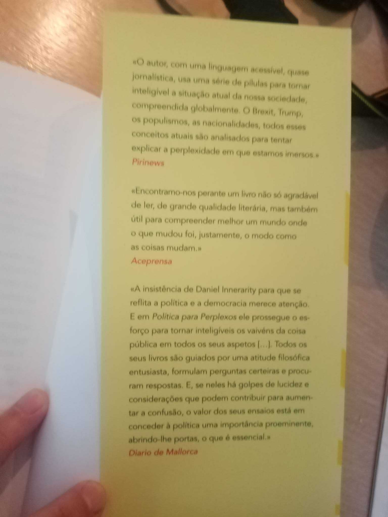 Daniel Innerarity, Política para perplexos