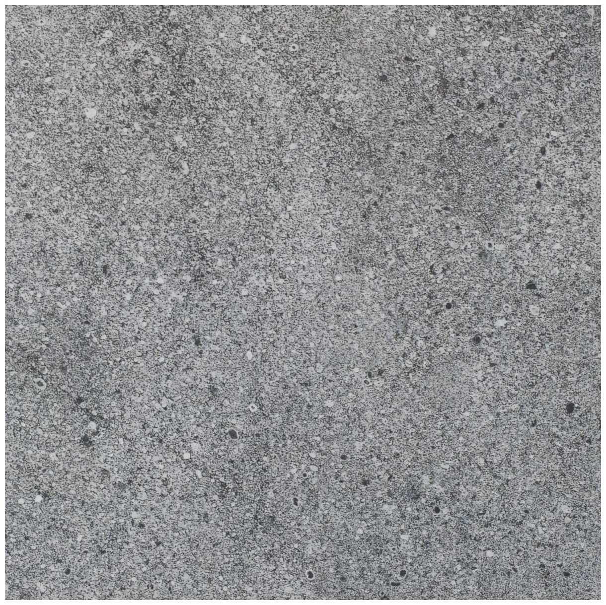 Płytka Paradyż ALGO GRYS GRES MAT 30X30