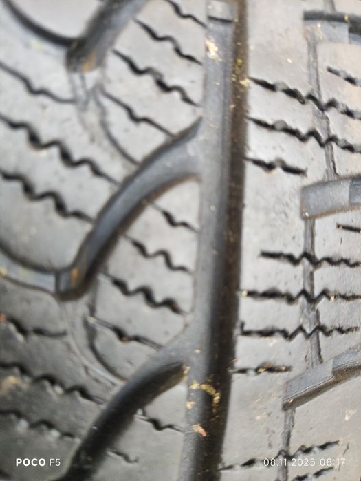 Шины Sava Eskimo LT (Continental) 215/65/16C рік 2021