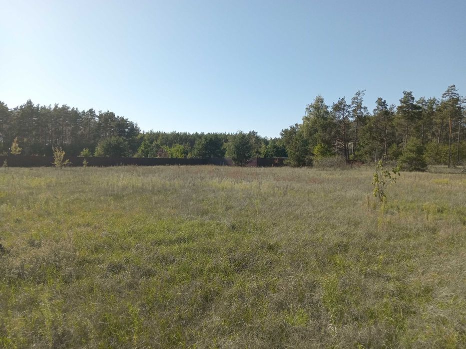 Продам будинок з ділянкою 52 сотки біля лісу с.Воропаїв