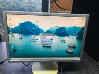 Monitor NEC EA221WMe 22" LED TN VGA HUB USB Głośniki