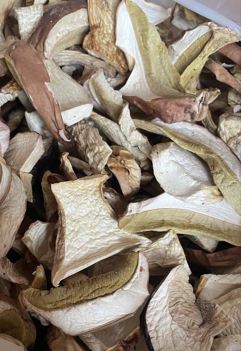 Гриби білі сушені !