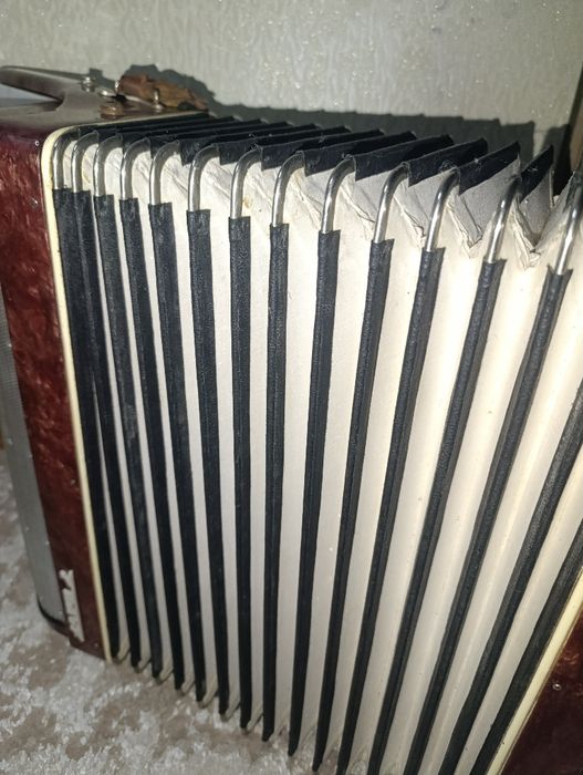 Акордеон Заря 2 .