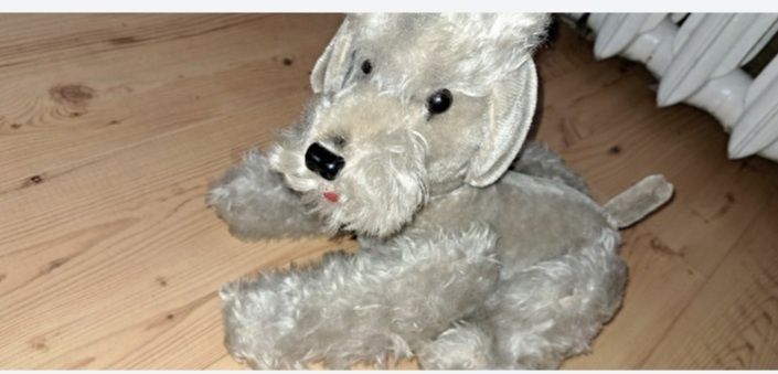 Stary piesek trociak PRL