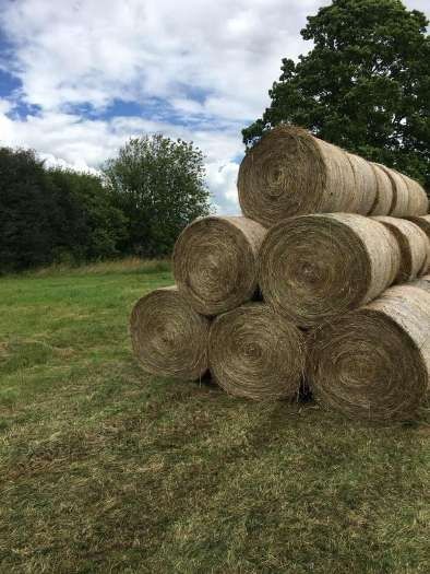 Sprzedam bele sianokiszonka siana  tegoroczne transport w cenie