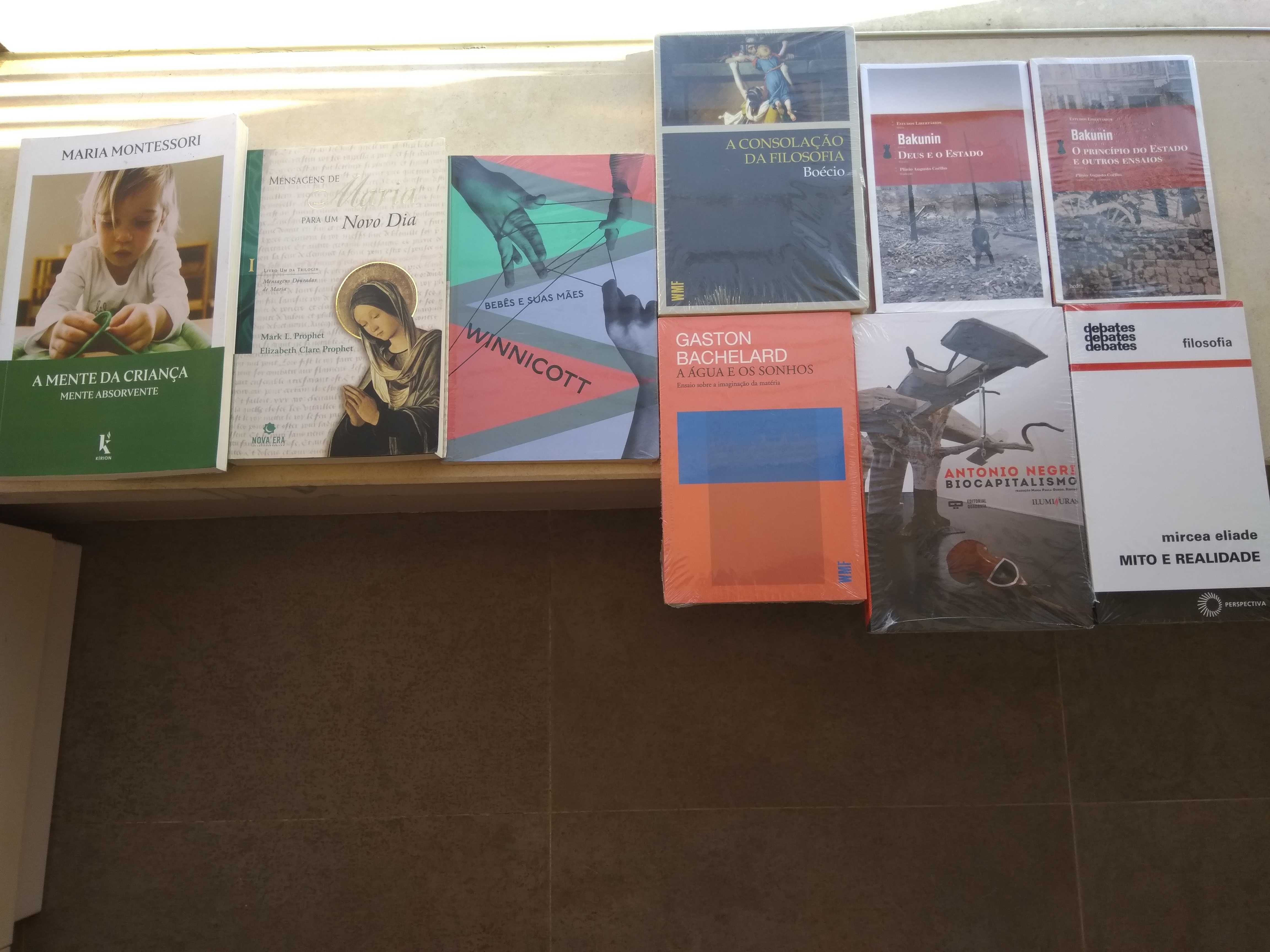 D. Winnicott, E. Roudinesco e F. Dolto - 24 livros raros de psicologia