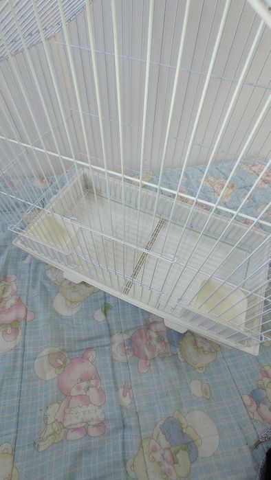 Gaiola em excelentes condições