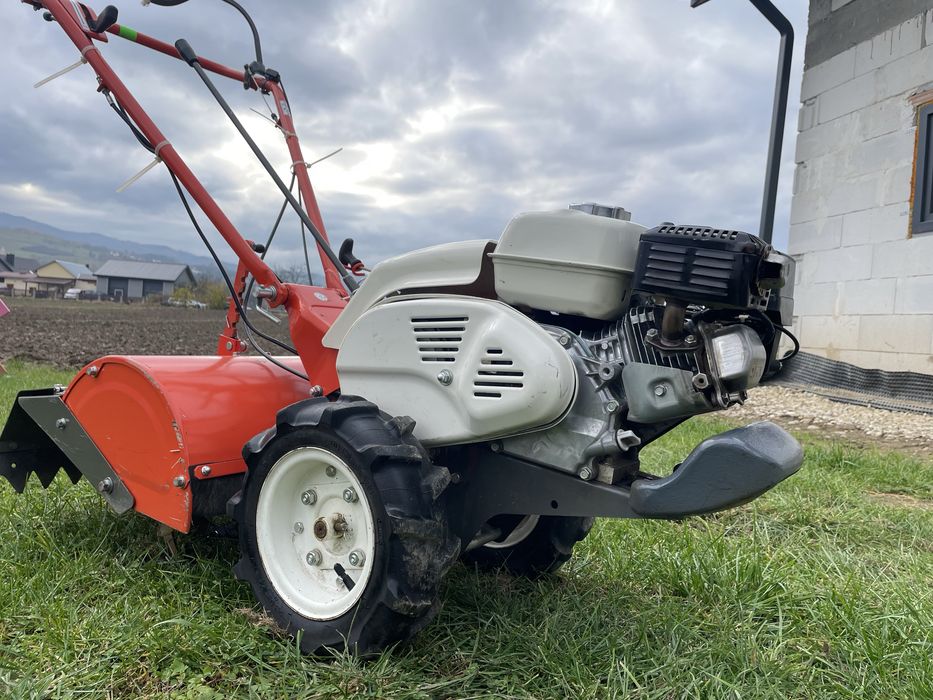 Niezawodna glebogryzarka  OREC HERCULES SF600D 2021r HONDA GX 160