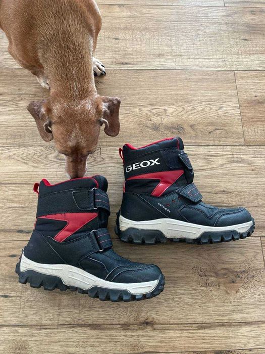 zimowe buty Geox,