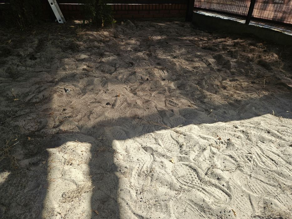 Oddam za darmo - piach z podwórka