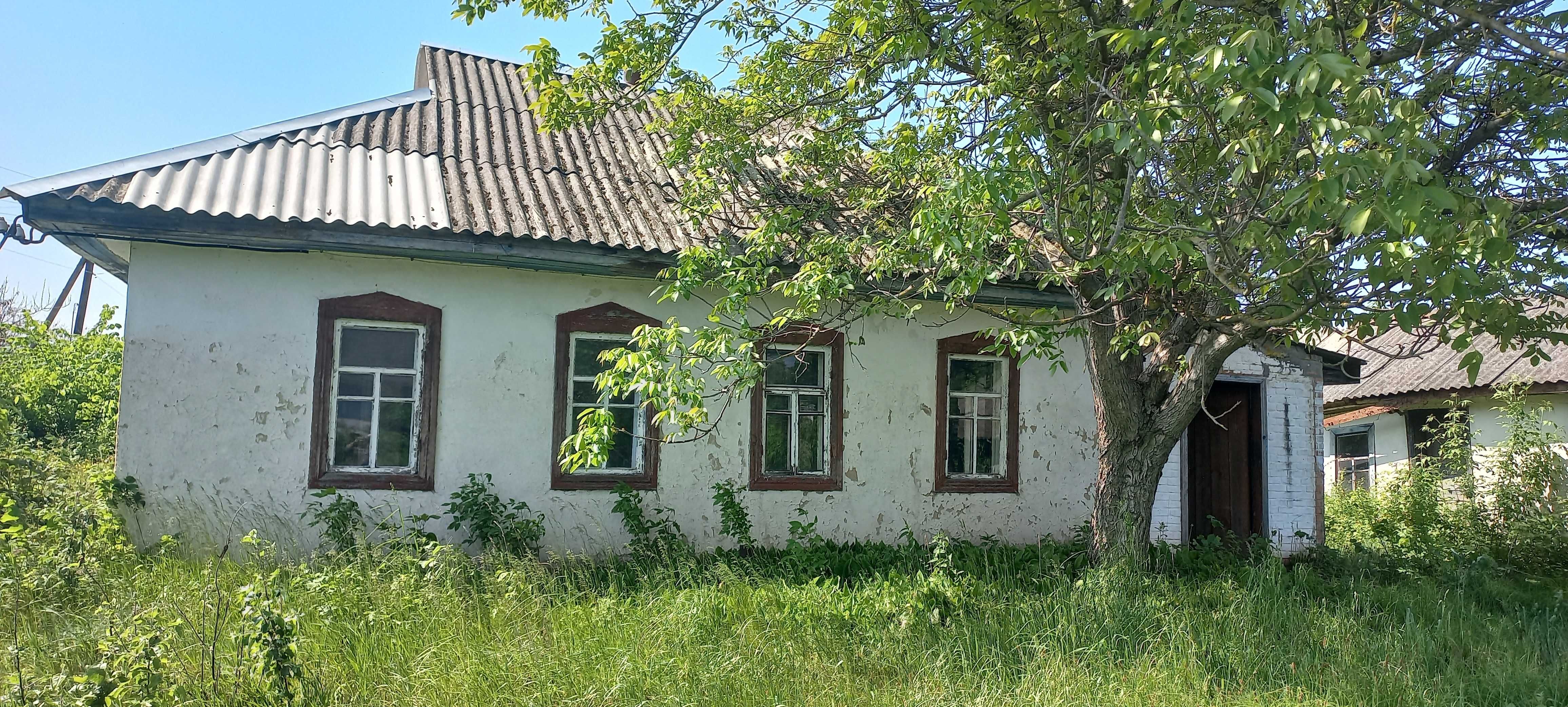 Дом в затишному, екологічно чистому селі Худоліївка