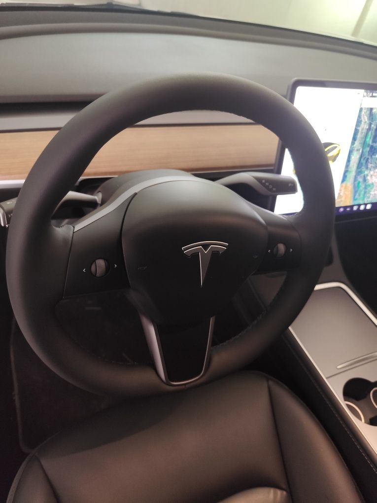 Model 3 long range dual motor