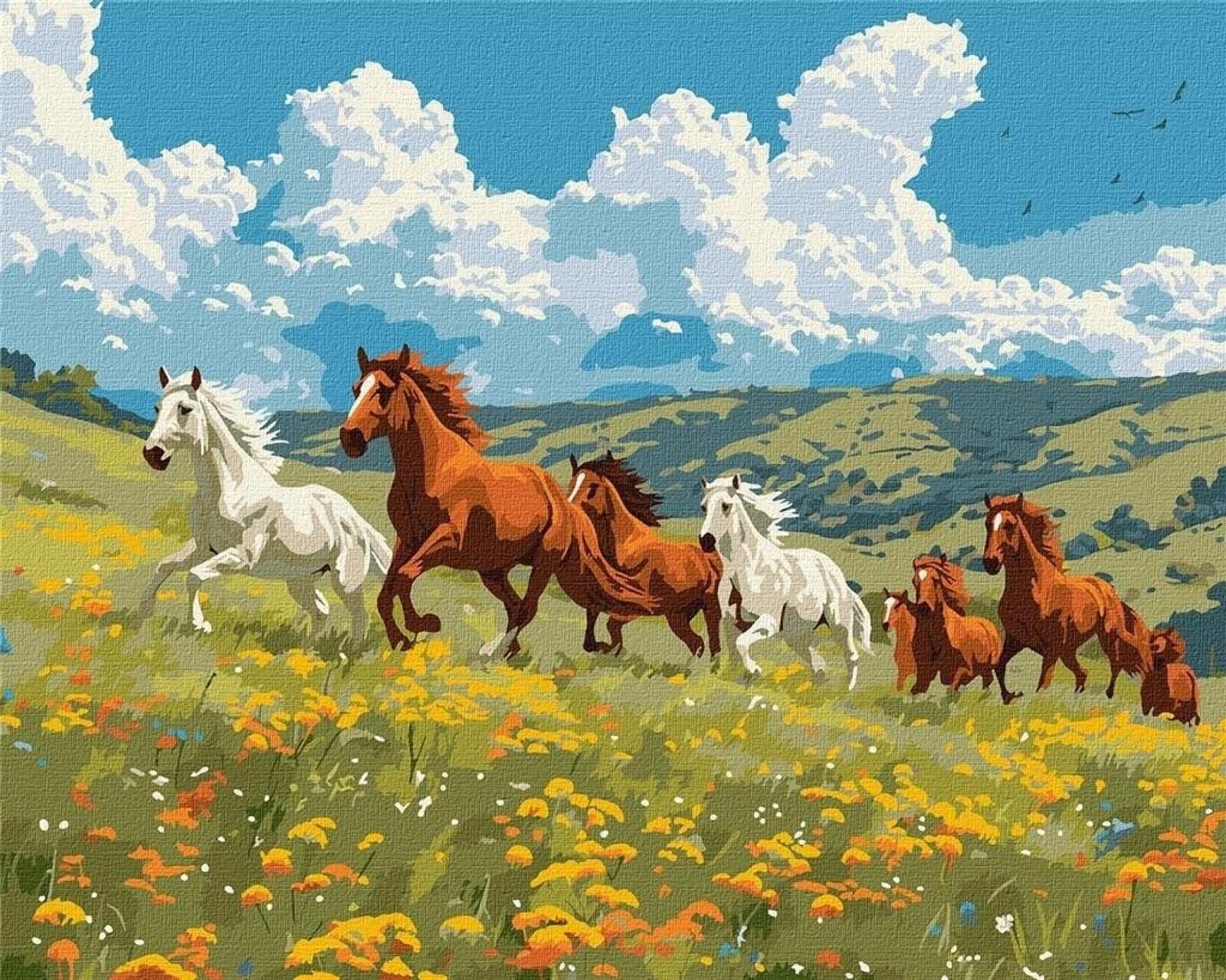 Malowanie po numerach - Siła i wdzięk 40x50cm Ideyka pudełko,