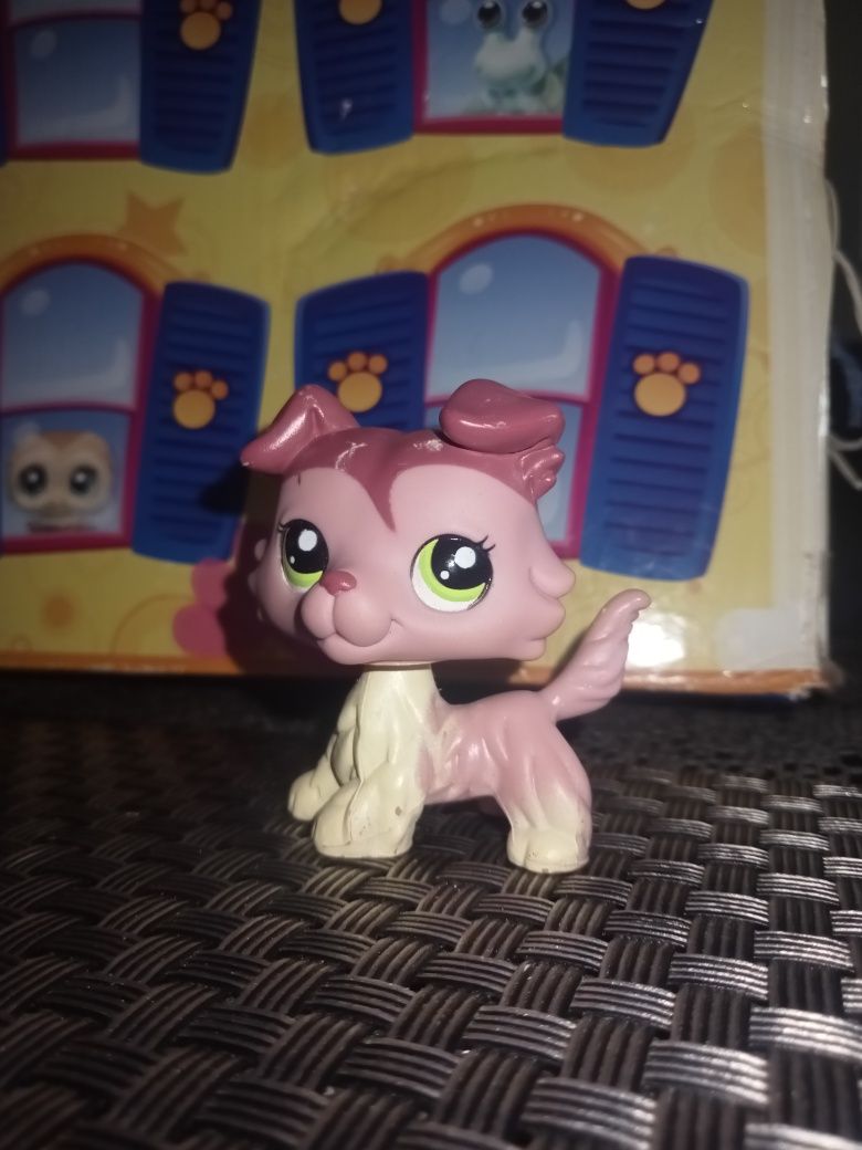 LPS piesek Collie 1723 Hasbro