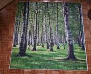 Tło fotograficzne winylowe brzozy 180 x 180