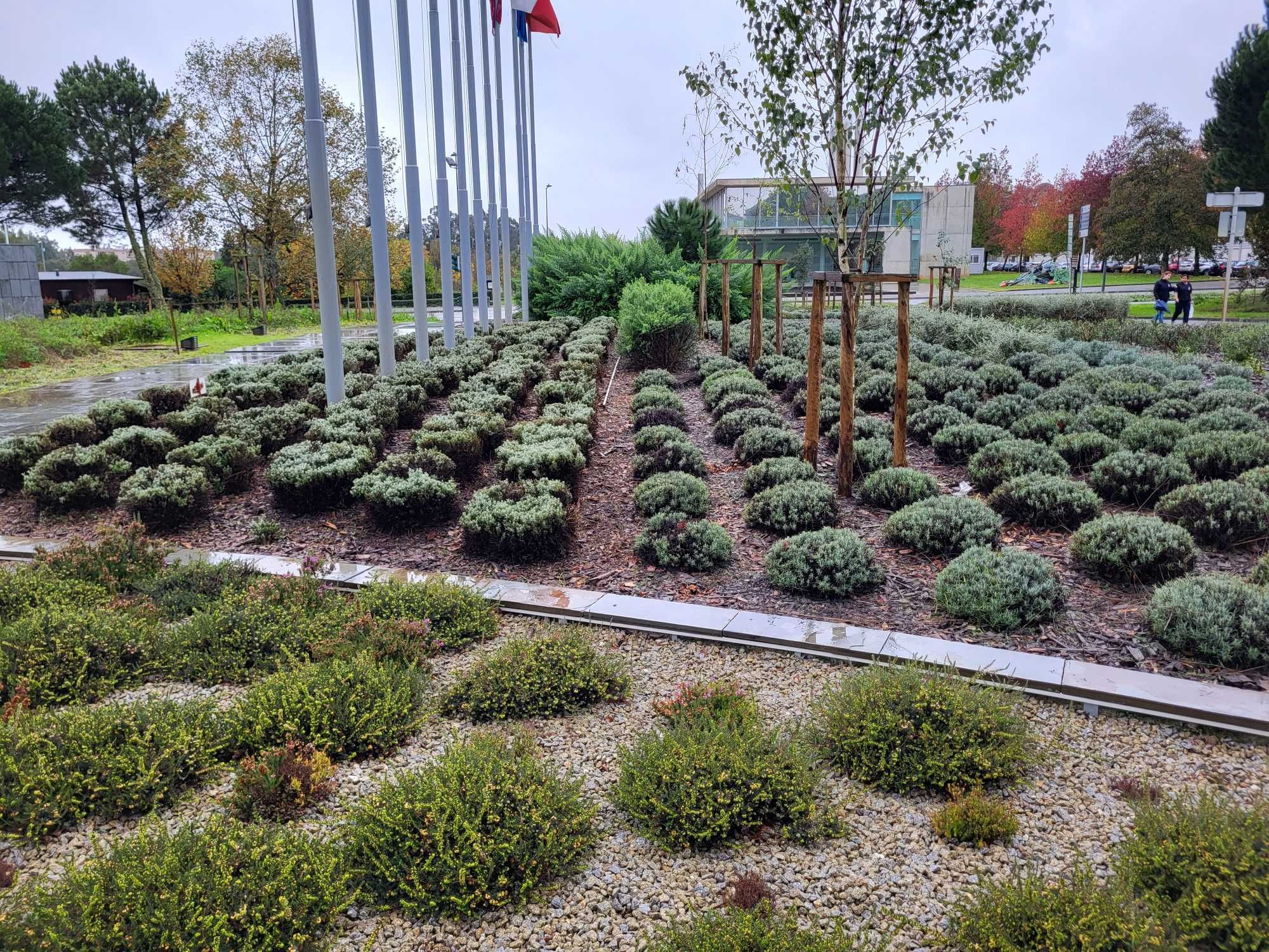 Construção e Manutenção - Jardins | Terrenos | Áreas Florestais