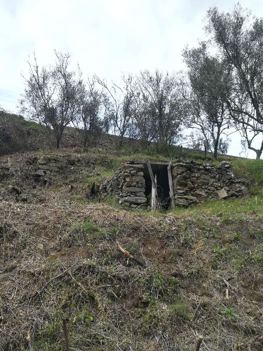 Quinta Régua / Lamego - Confronta com Rio (Ribeira do Neto)