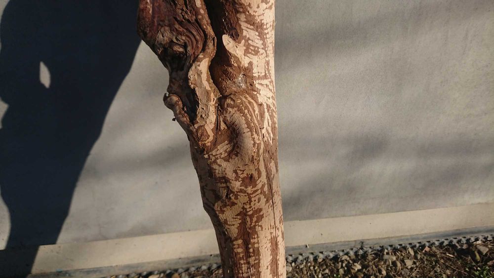 *Wyjątkowy Konar Rzeźba, Unikatowe Dzieło, Suuper Ozdoba &^^