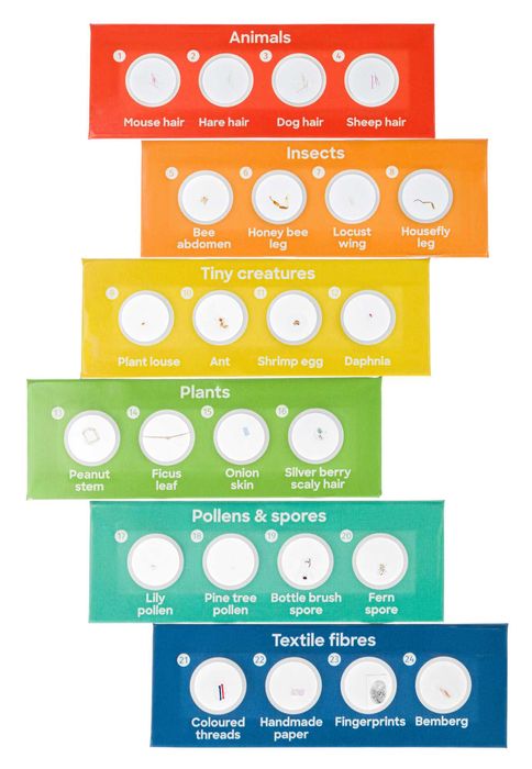 Mikroskop Levenhuk Discovery Centi 02 z książką