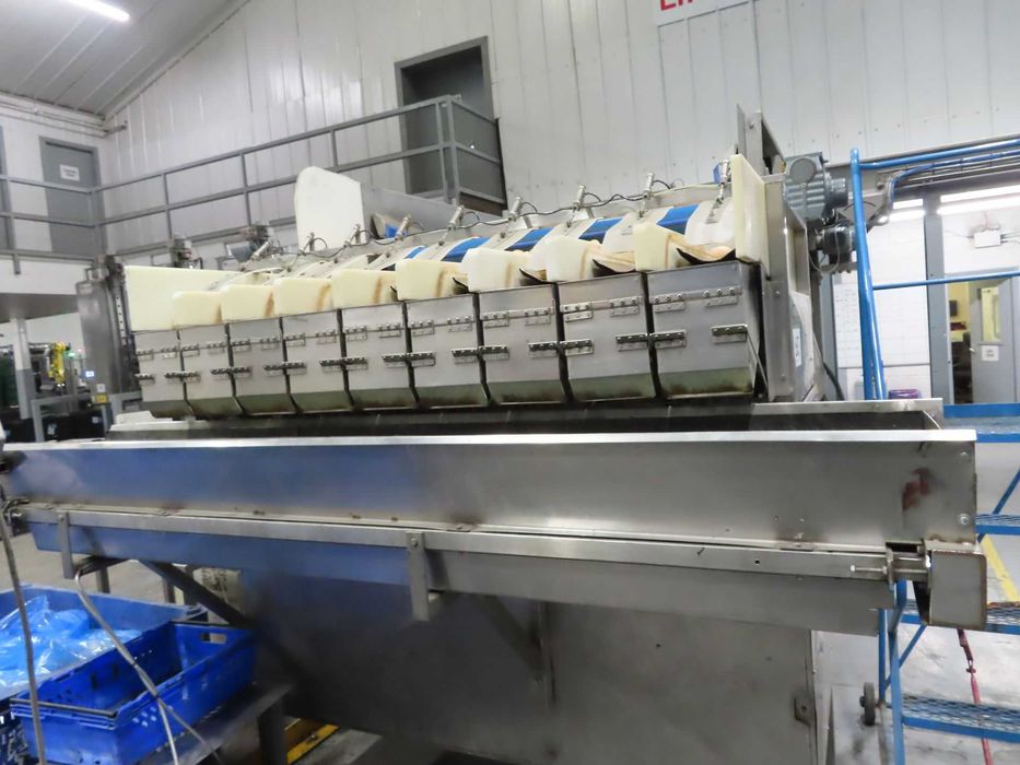 Waga kanałowa 2009 XBG do warzyw, ziemniaków cebuli marchwi pietruszki