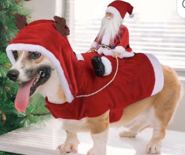 Idepet kostium Christmas pies z Mikołajem jadącym święta Boże Narodzen