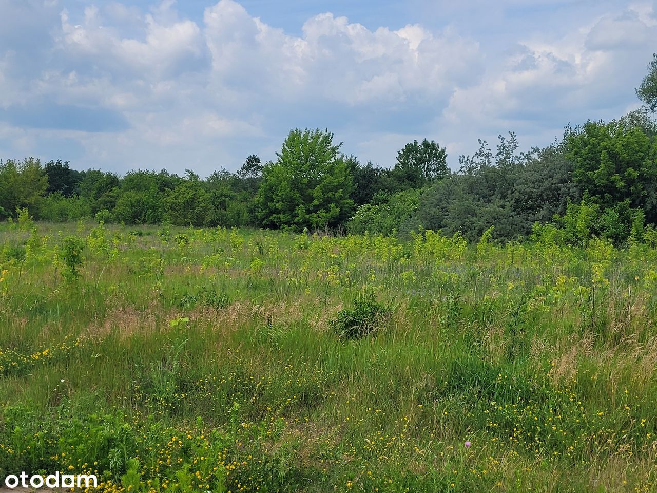 działka inwestycyjna na Krywlanach (podstrefa Białystok SSSE)