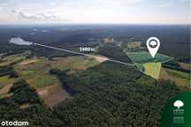Prywatna oaza ciszy z własnym lasem – 9,23 ha, 1400 metrów od jeziora!