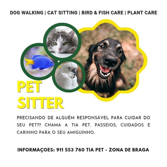 Passeio de cães e cuidados