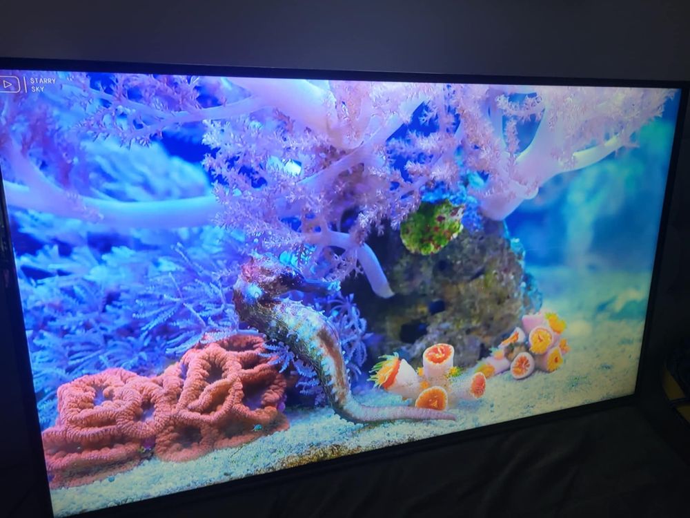 TCL 55cali, Android, 4K, UHD