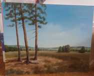 Obraz ręcznie malowany; Sosny;40 x 50 cm