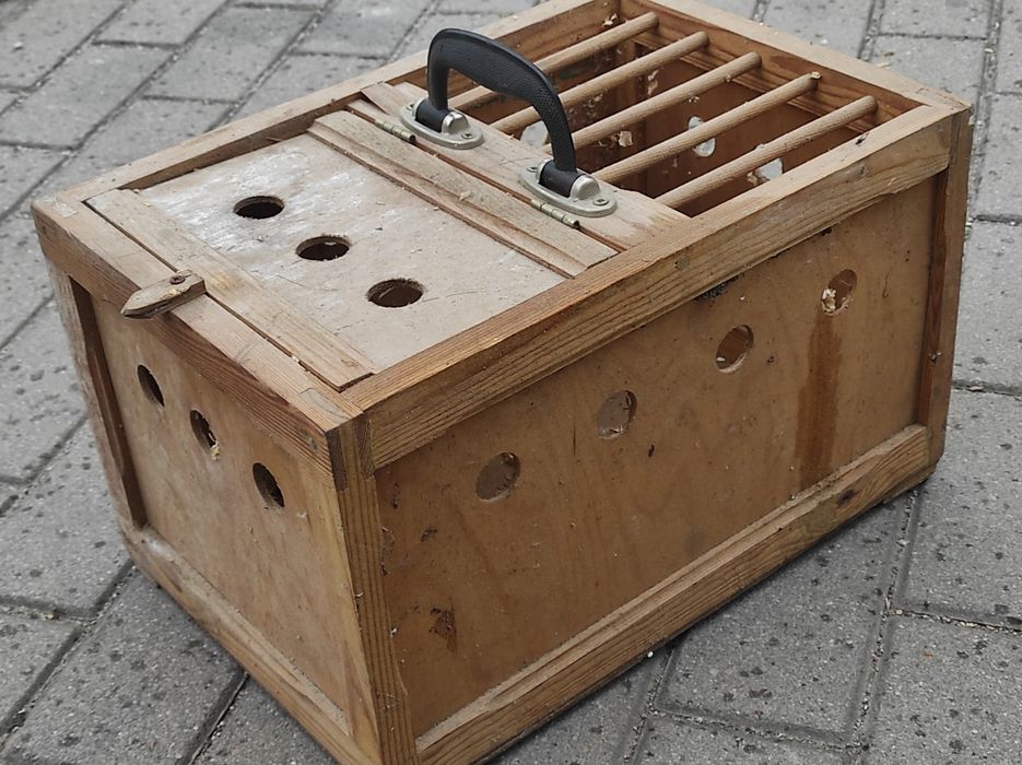 Klatka transportowa do gołębi zwierzat