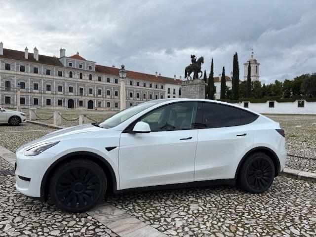Tesla Model Y RWD