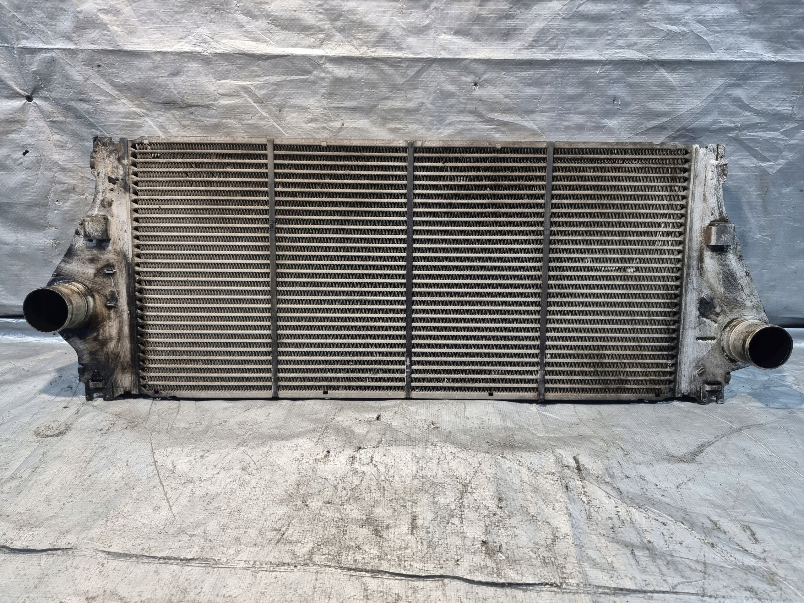 Intercooler Chłodnica Powietrza c Renault Laguna Ii 1.9 Dci 02r