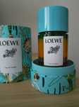 Paula's Ibiza Loewe