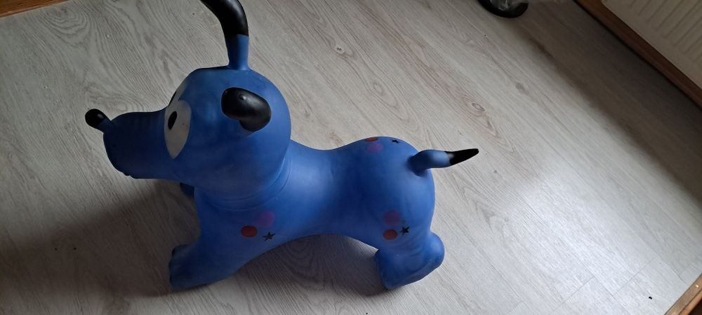 Sprzedam pieska skoczka