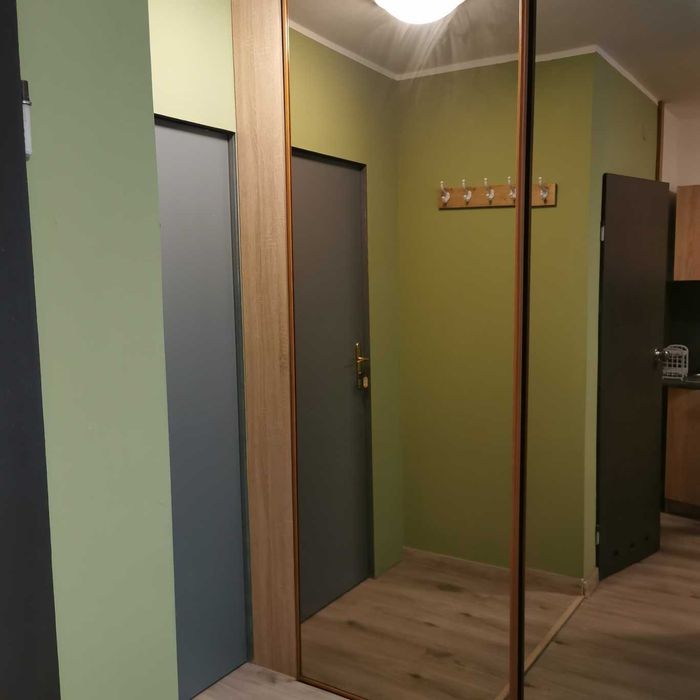 Wynajmę  MIESZKANIE 60m2 POZNAŃ Rakoniewicka