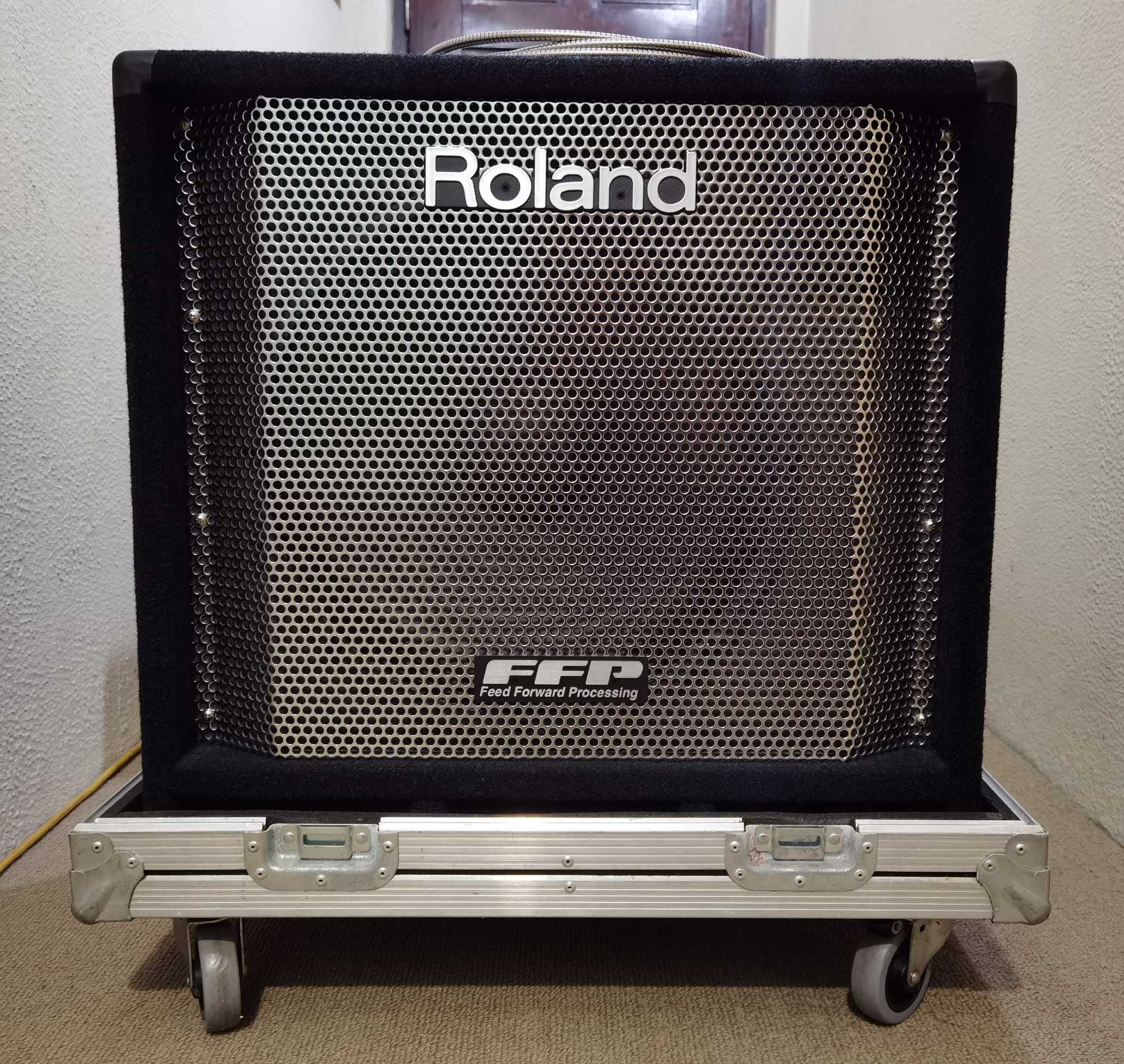 Roland DB-700 Bass Combo 250W 1x15'' + Oferta da Roadcase