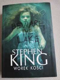 Stephen King Worek kości