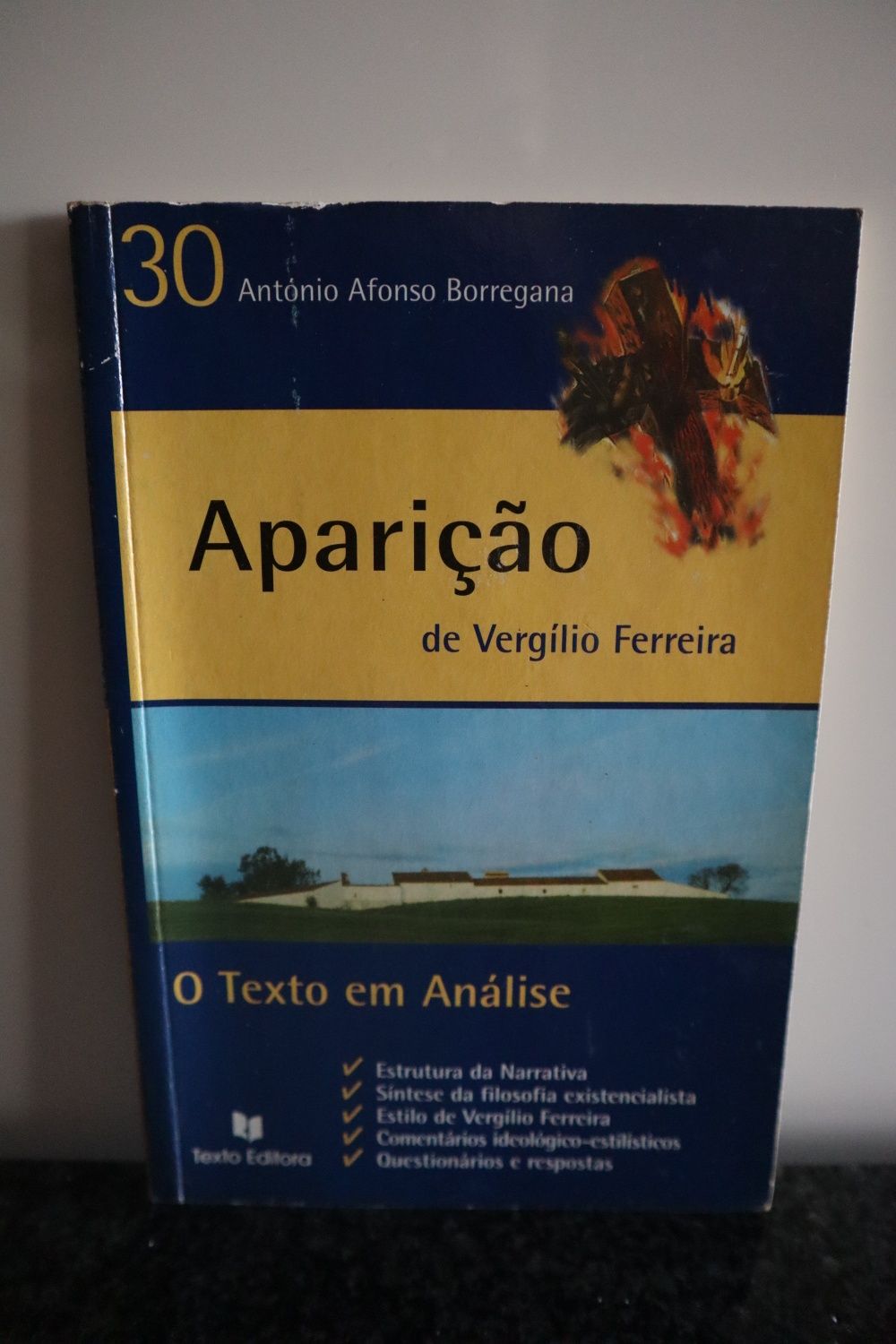 Aparição de Vergílio Ferreira - O Texto em Análise